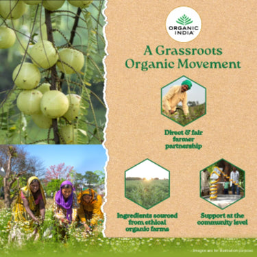 A TATA Product - Organic India Tulsi Green Tea Pomegranate - 25 Tea Bags, Certified Organic, Stress Relief, Rich in Antioxidant, Tulsi & Pomegranate Infusion